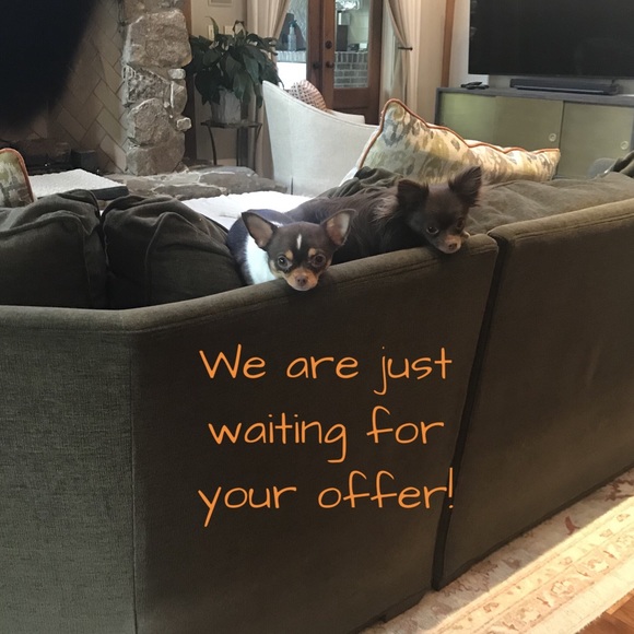 Like this photo to save my closet! 💞 - Picture 2 of 3